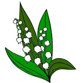 Présenter un bouquet de muguet